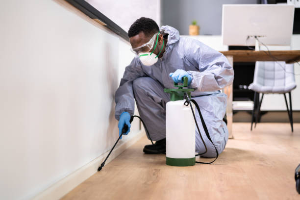 Best Fumigation Services  in Pearl Beach, MI